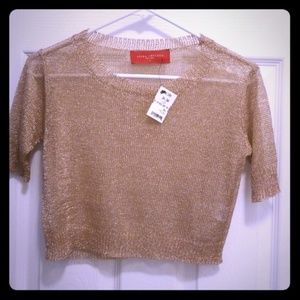 Akira Chicago (Red Label): Rose Gold Mesh Crop Top